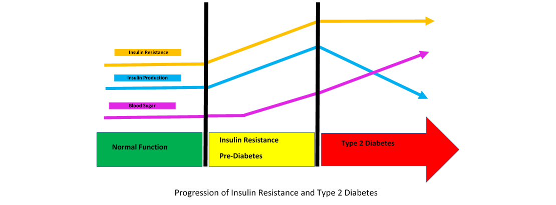 Insulin Resistance Diagram